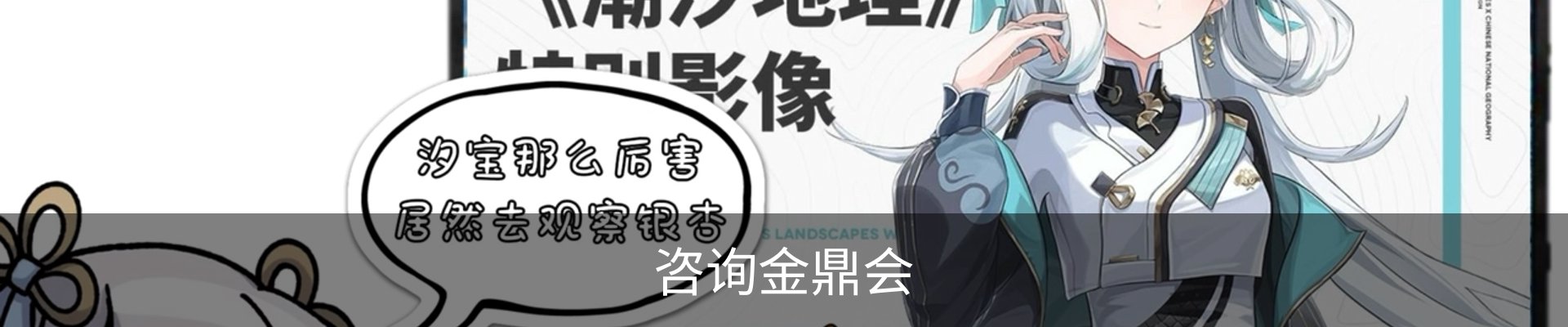 咨询金鼎会